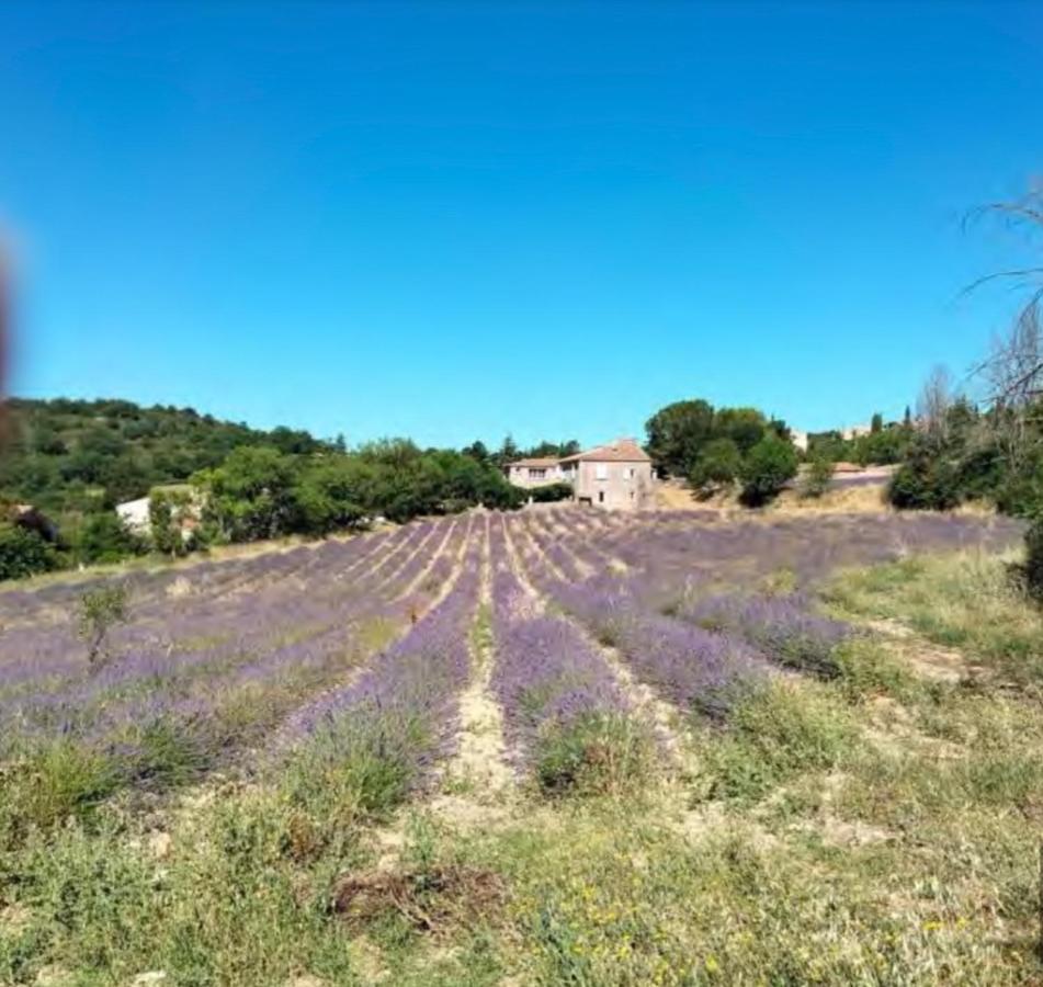 Lou Paradou Luberon Reillanne Buitenkant foto