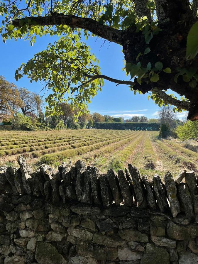 Lou Paradou Luberon Reillanne Buitenkant foto